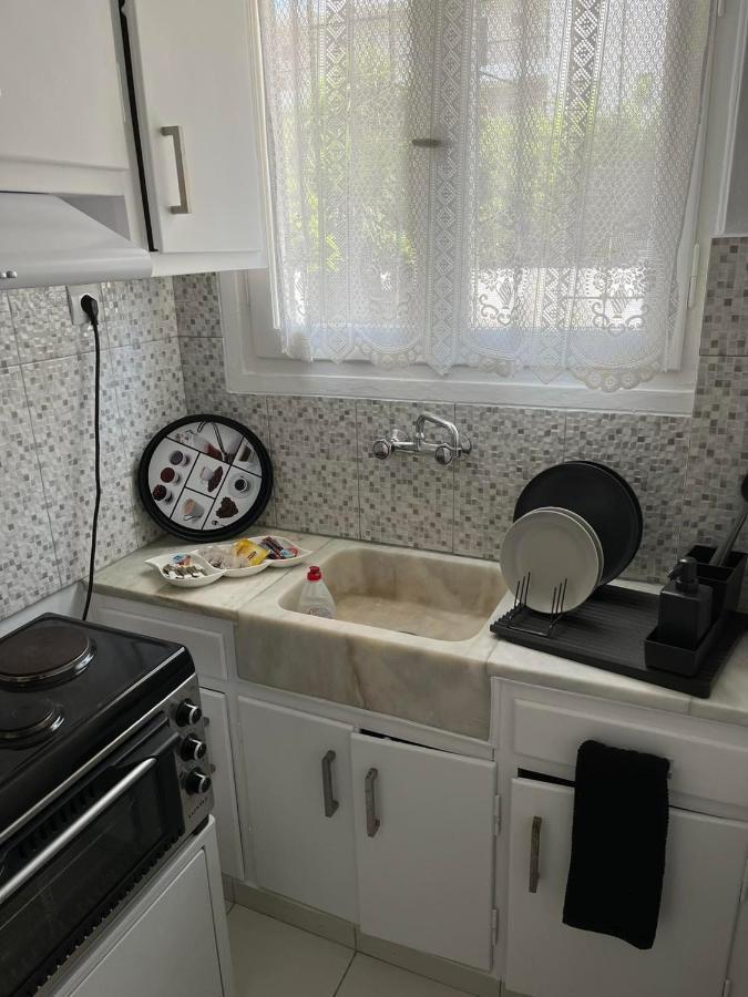 Sea View Apartments Near Athens Airport 02 アルテミダ エクステリア 写真