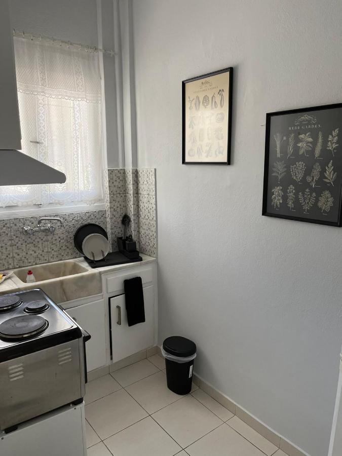 Sea View Apartments Near Athens Airport 02 アルテミダ エクステリア 写真